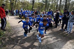waldlauf2026.JPG