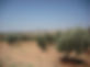 DSCF1824.JPG