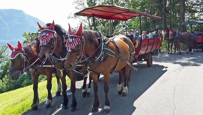 Schnapsverkostung mit Kutschenfahrt