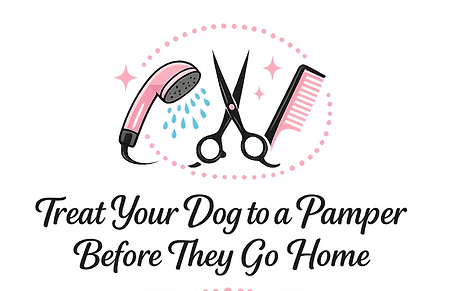 pamper.png