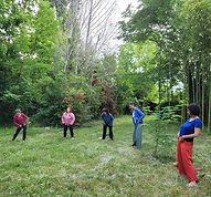 QI GONG DE L'ARBRE ET EQUILIBRE