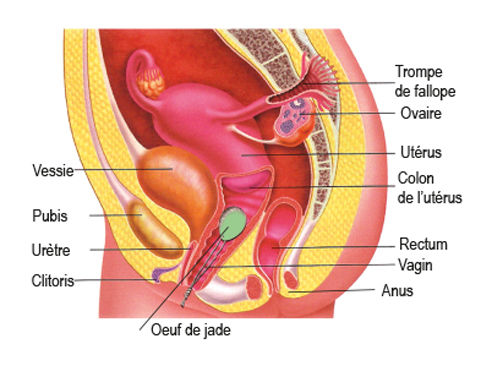 Thumbnail: PINK QUARTZ EGG "Stone of tenderness and serenity" (3 sizes)