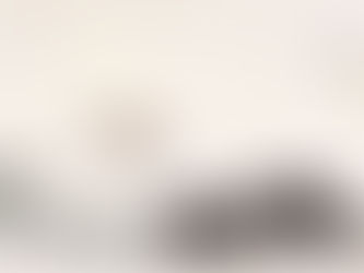 LE RÊVE DU PAPILLON