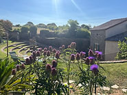 IMG_3742.jpeg