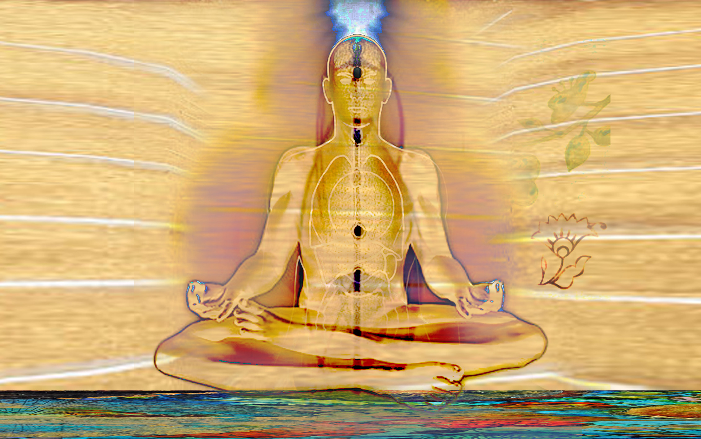 Cours Et Ateliers Tai Ji Qi Gong Tao Yoga Tao Dance - 