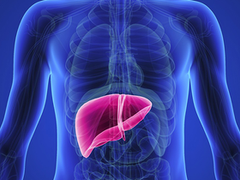 LE PRINTEMPS, LE BOIS, LE FOIE & LA VESICULE BILIAIRE...