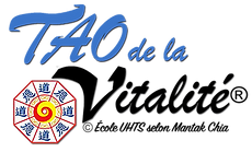 LOGO SOULIMET BLEU_edited.png
