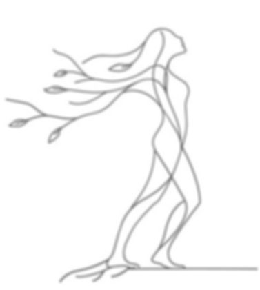 TAI JI QI GONG ET TAO YIN YOGA.jpg