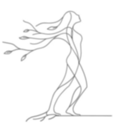 TAI JI QI GONG ET TAO YIN YOGA.jpg