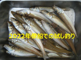 2022年 4月28日