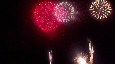 giphy.gif