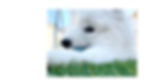 無題-16.jpeg