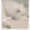 トップ画像.jpeg