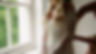 Olivia & Ollie Trailer.00_00_16_24.Still006.jpg