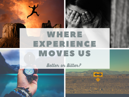 Where Experience Moves Us