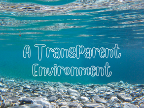 A Transparent Environment
