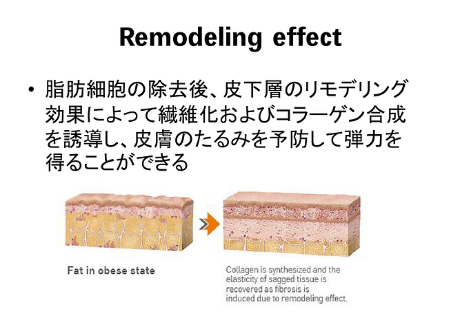 FatX Core 18 ページ.png