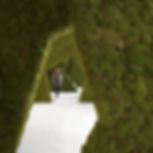 Moss Your City London