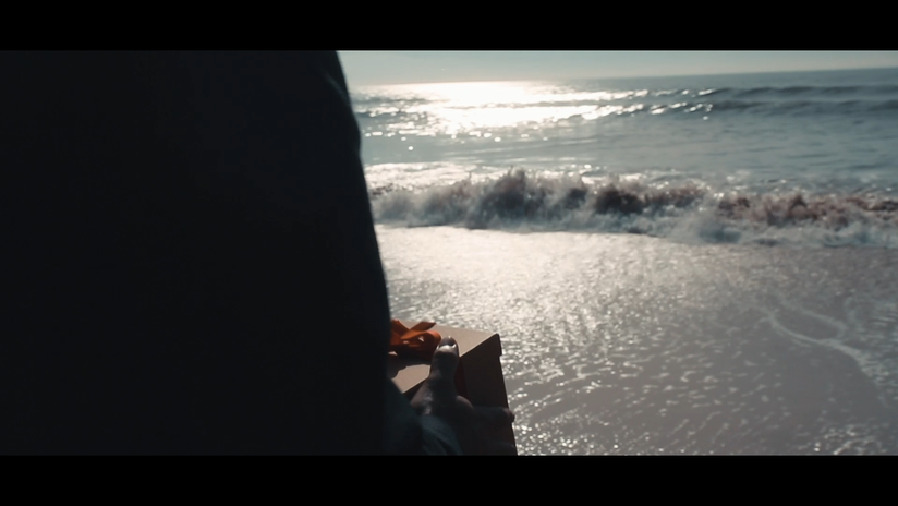 José Manuel Vargas_Cocoon