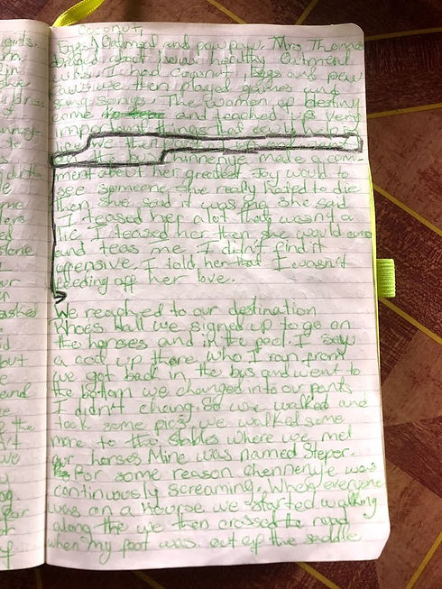 journal.jpg