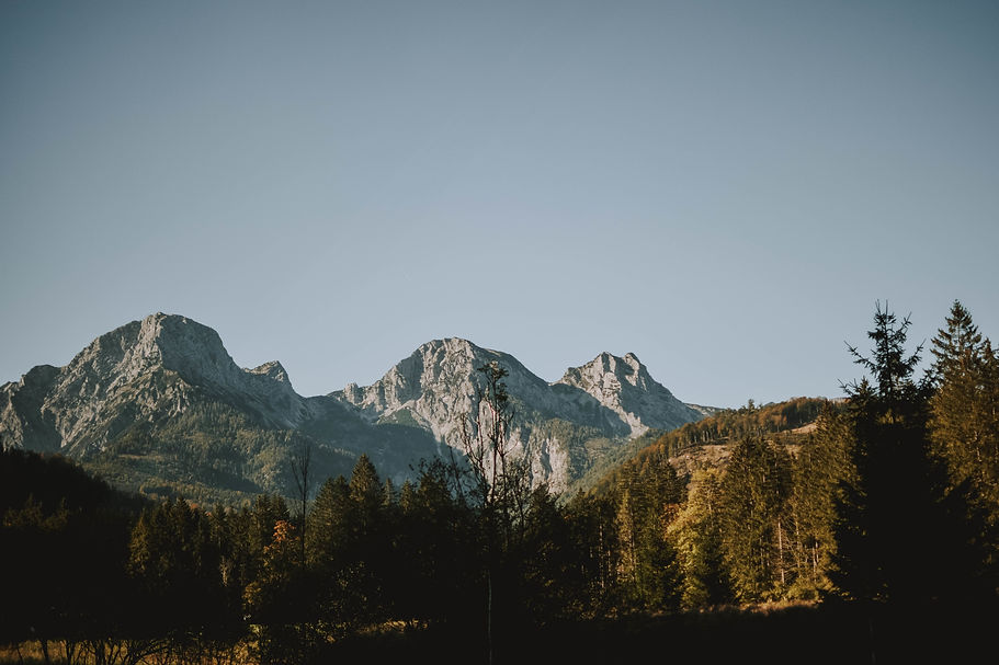 horizontal-shot-white-mountains-forest-clear-sky.jpg