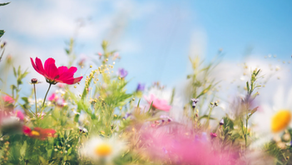 Why Spring Is the Best Time to Prepare for Winter Energy
