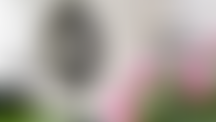 Are heat pumps becoming the future of home heating?