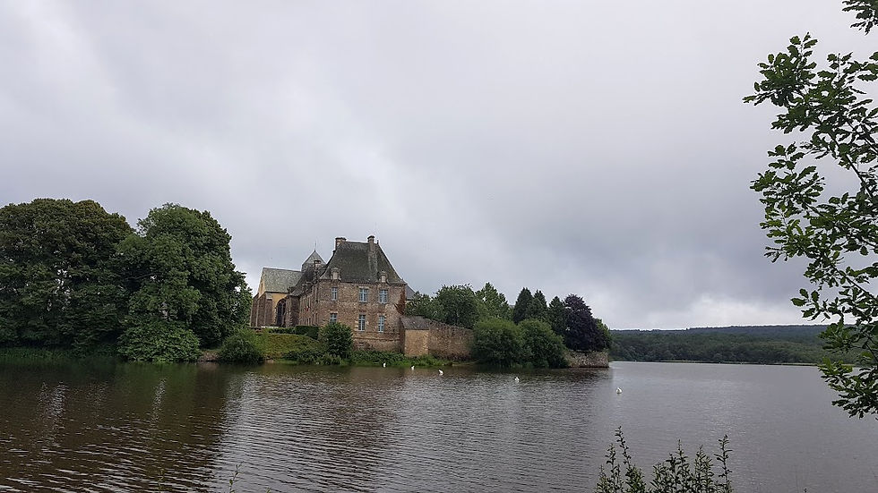 Forêt Brocéliande, stage Energie et Nature