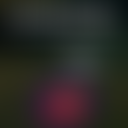 Thermal drone detecting lost pet in a wooded area during emergency recovery mission in Minnesota