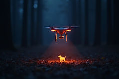 lost-pet-drone-search-minnesota.webp