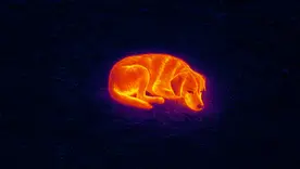 Harnessing Thermal Drone Technology to Locate Lost Pets: A Comprehensive Guide for Minnesota Families