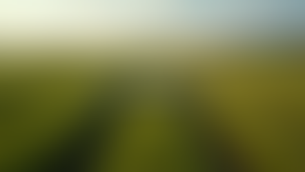 Explore Custom Drone Solutions for Every Industry