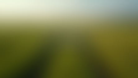 Explore Custom Drone Solutions for Every Industry