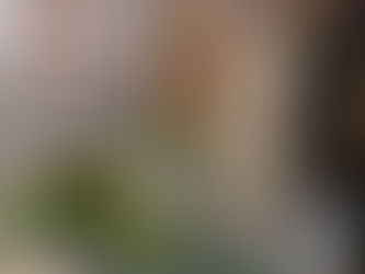 Inside Calgary’s Condo Market: What Buyers Need to Know Before Making a Move