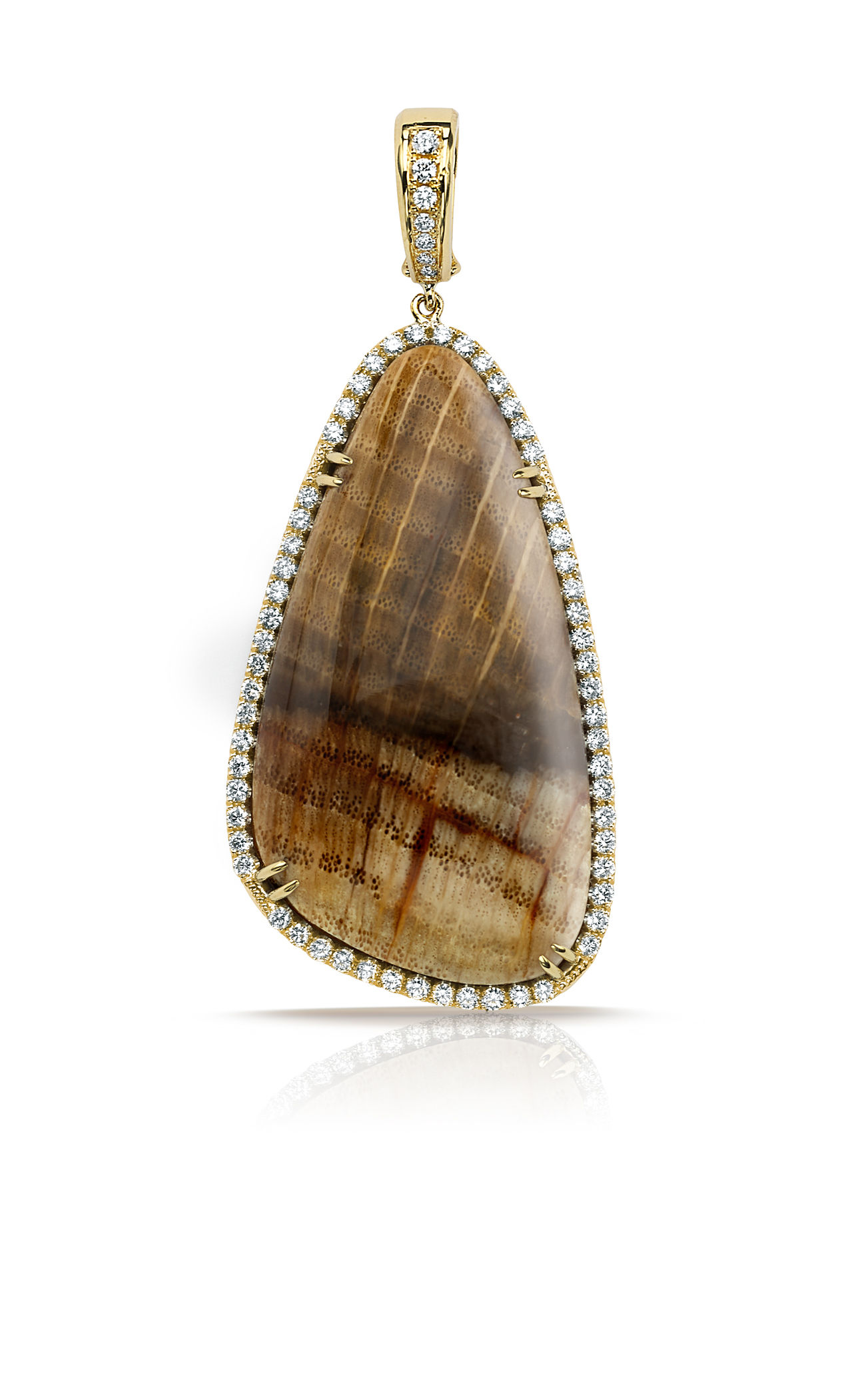 Fossilized Wood pendant