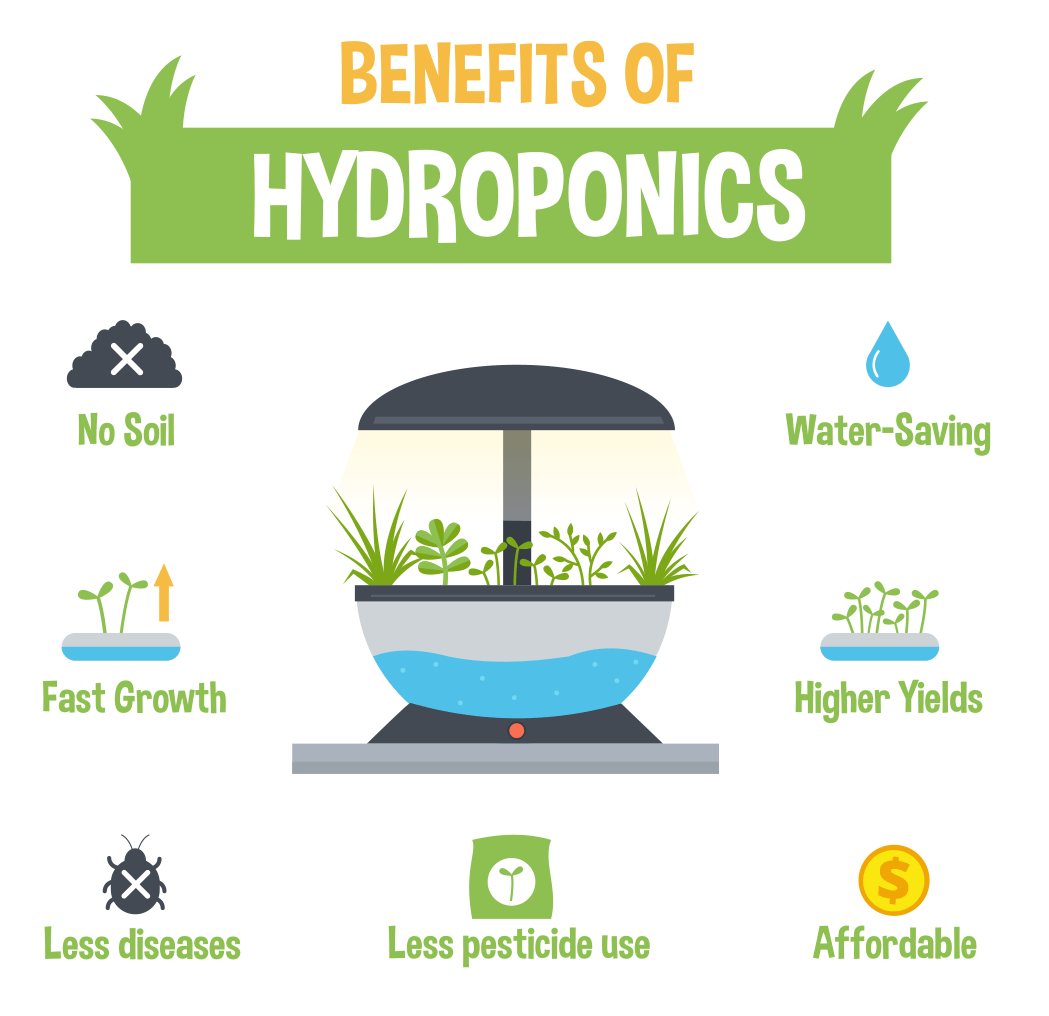 benefits-of-hydroponics.gif