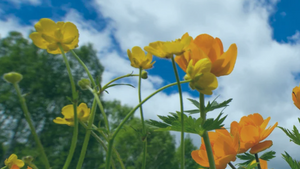 Growth and Challenge