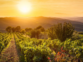 The Subtle Destruction of Envy