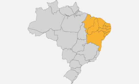 A inovação jornalística no ciberterritório nordestino: caminhos para o novo jornalismo