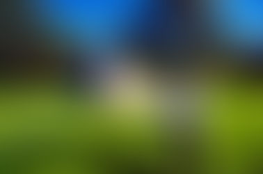 Estágio de Verão de JOGO DO PAU 2026