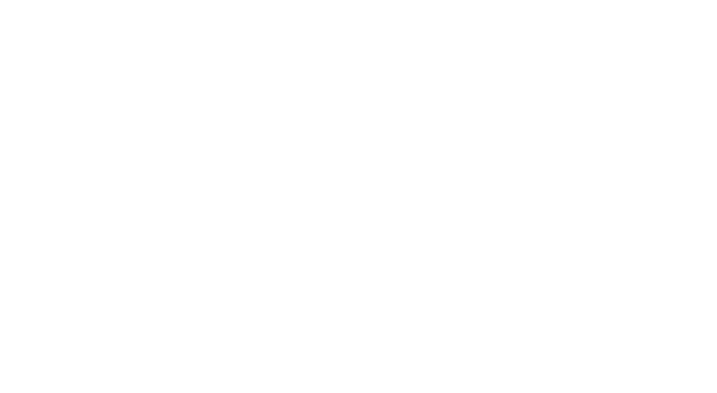 DTLF Logo Home