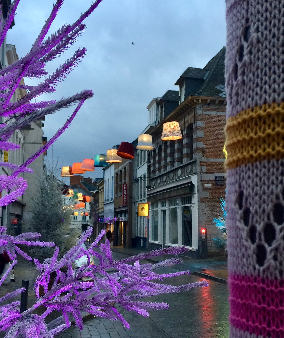 Mons en Lumières , 2017