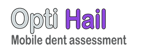 Logo Opti Hail.png