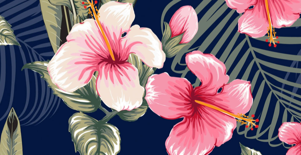 Blog Banner for Website Content (1) copy.jpg