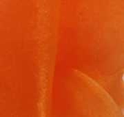 Orange-Organza