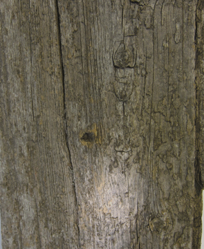 barnwood-runner - Copy