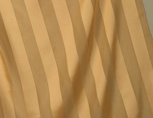 gold sheer stripe