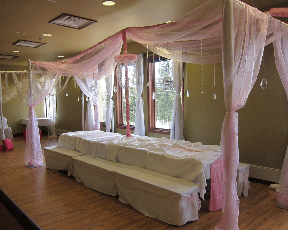 princess party decor rapid city