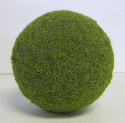 moss balls