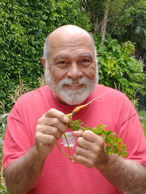 Carrot Crop